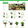 Thiết kế website bán cây xanh