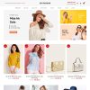 thiết kế theme wordpress